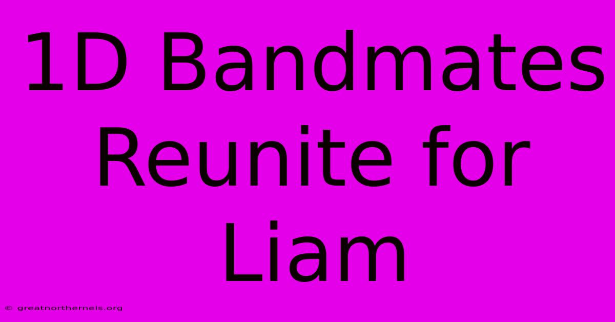 1D Bandmates Reunite For Liam