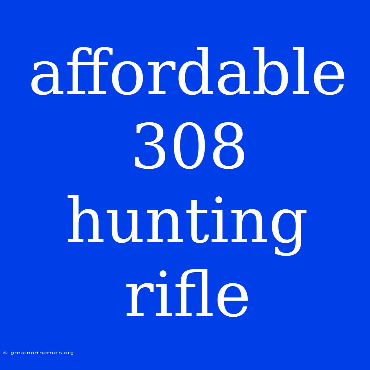 Affordable 308 Hunting Rifle