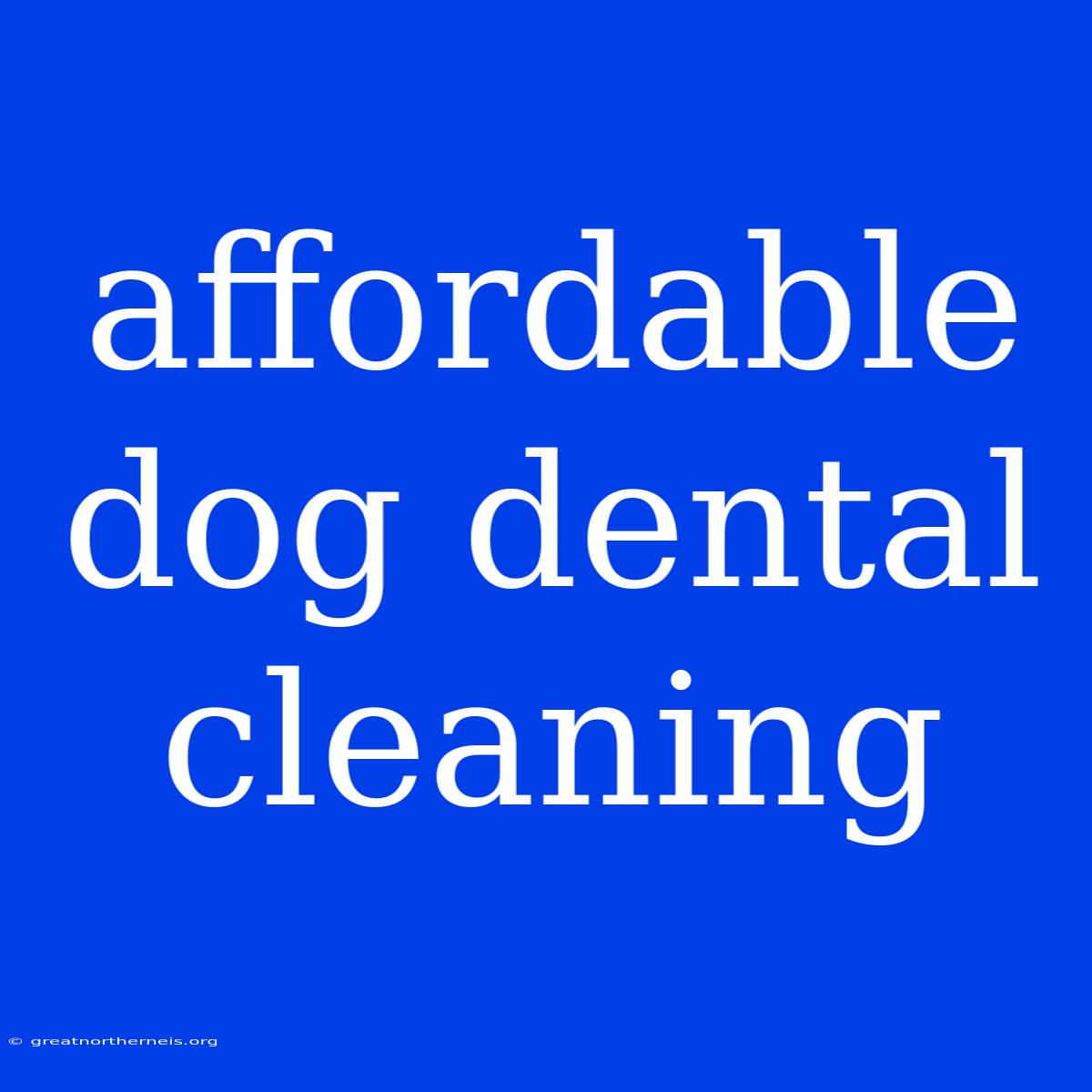 Affordable Dog Dental Cleaning