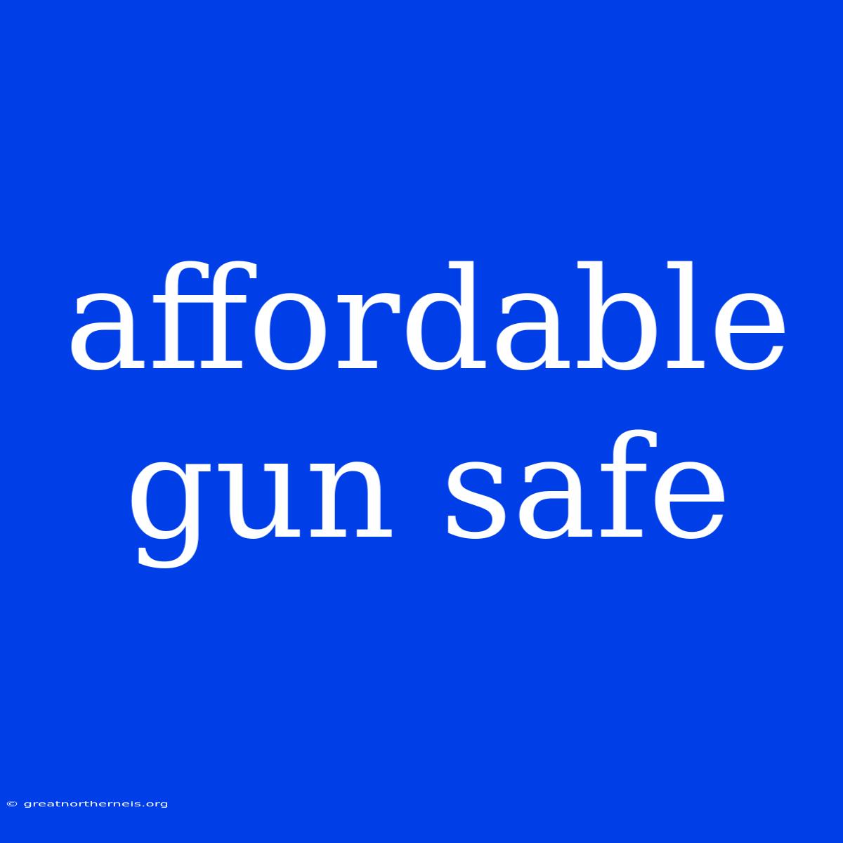 Affordable Gun Safe