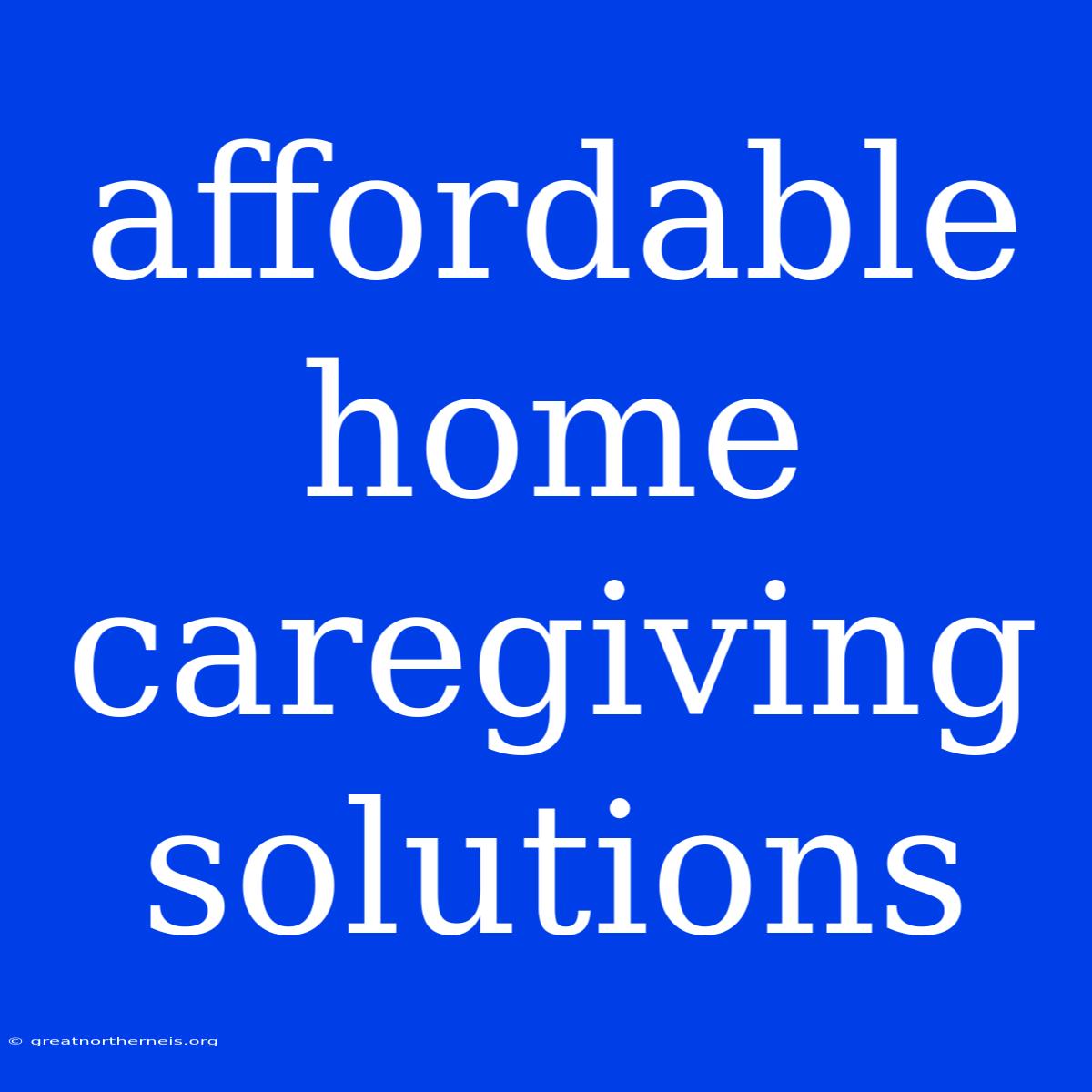 Affordable Home Caregiving Solutions