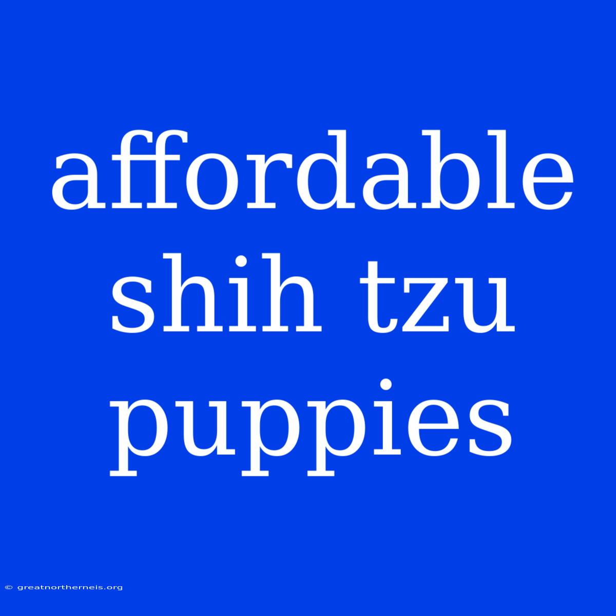 Affordable Shih Tzu Puppies