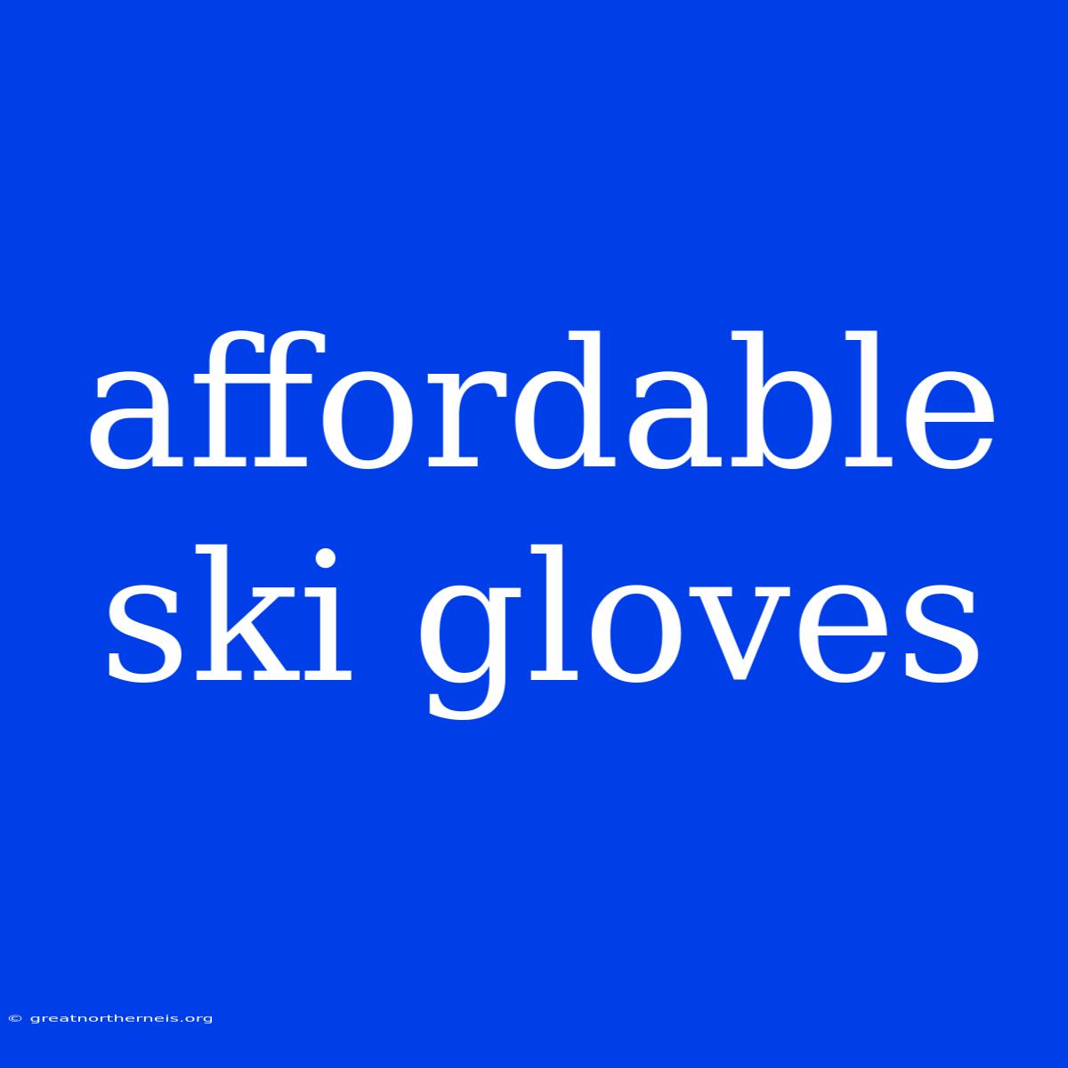 Affordable Ski Gloves