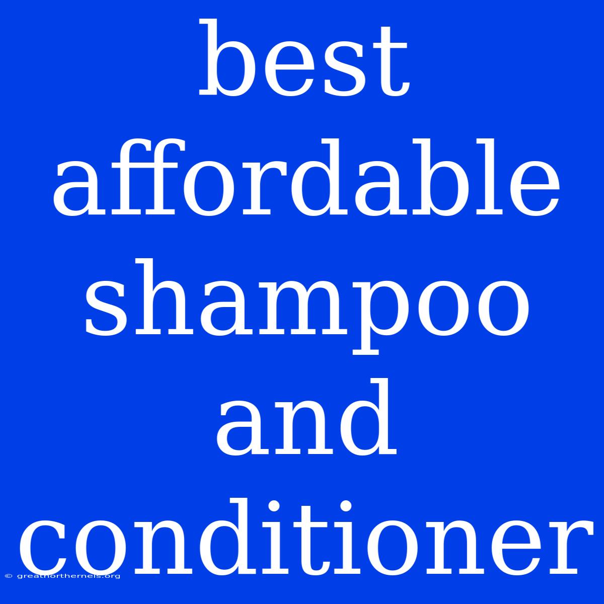 Best Affordable Shampoo And Conditioner