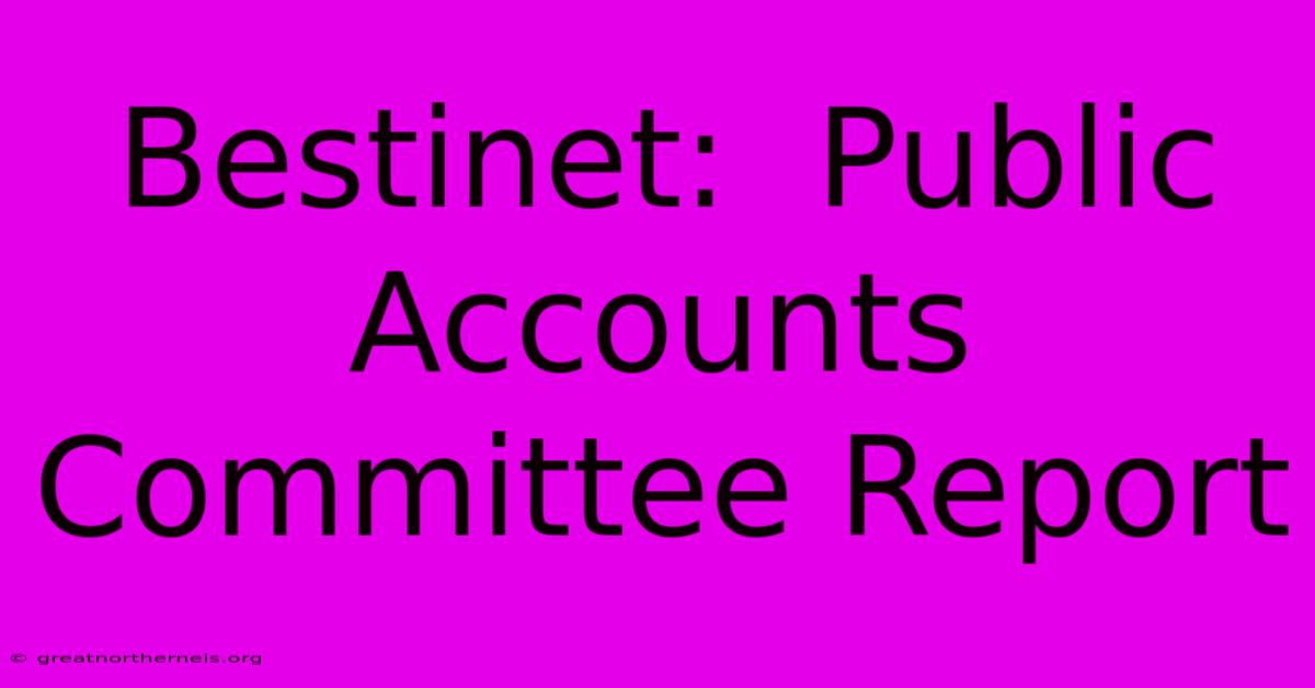 Bestinet:  Public Accounts Committee Report