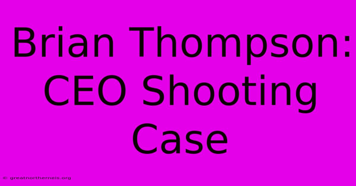 Brian Thompson:  CEO Shooting Case