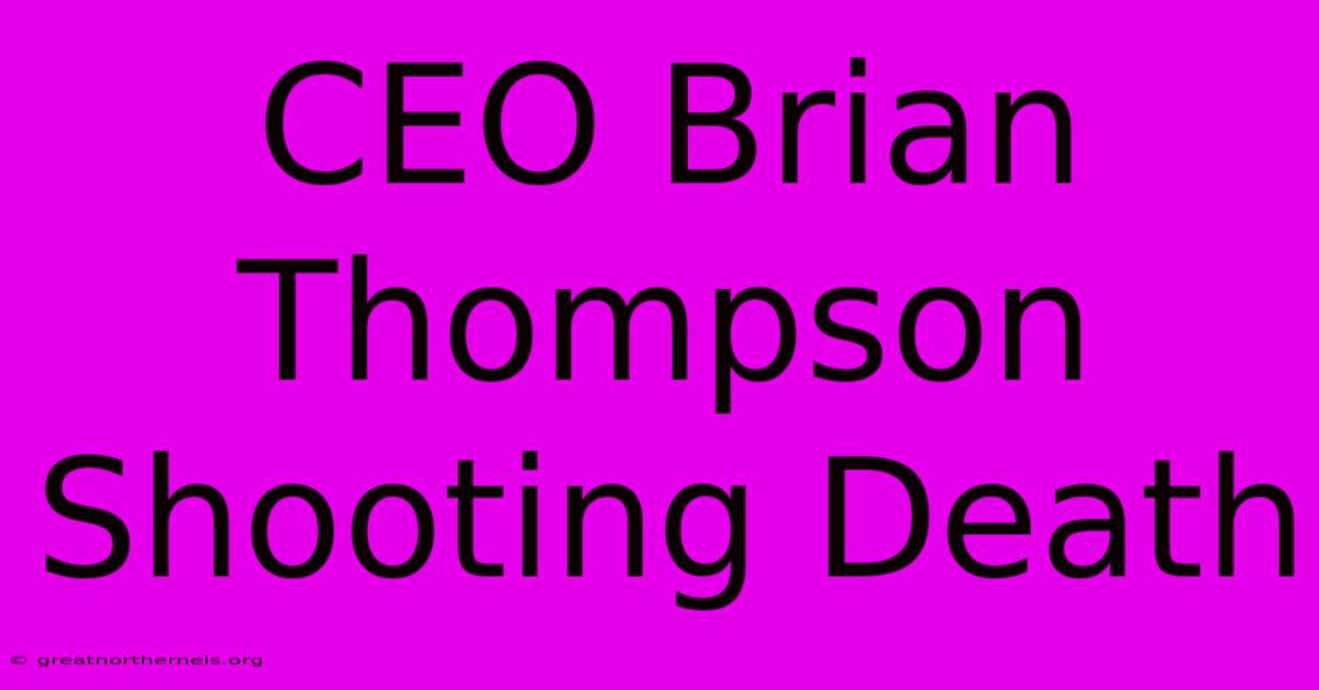 CEO Brian Thompson Shooting Death