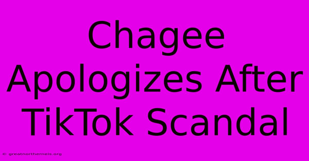 Chagee Apologizes After TikTok Scandal