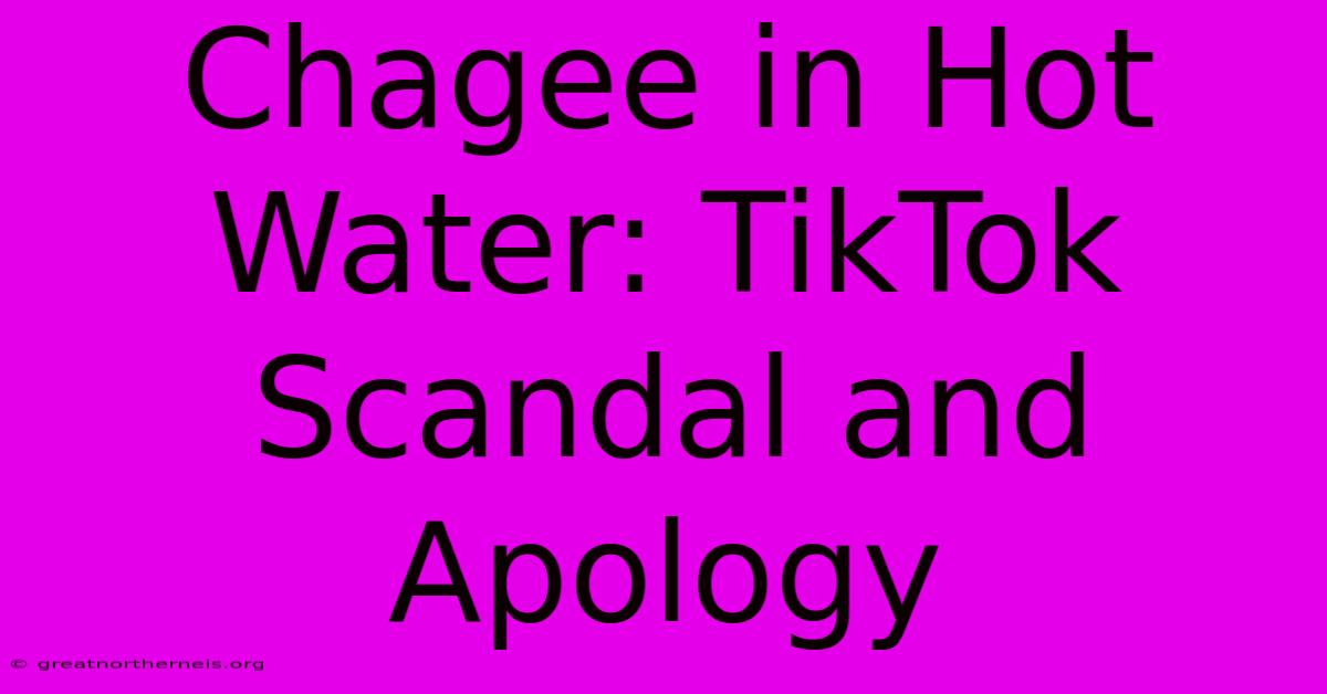 Chagee In Hot Water: TikTok Scandal And Apology