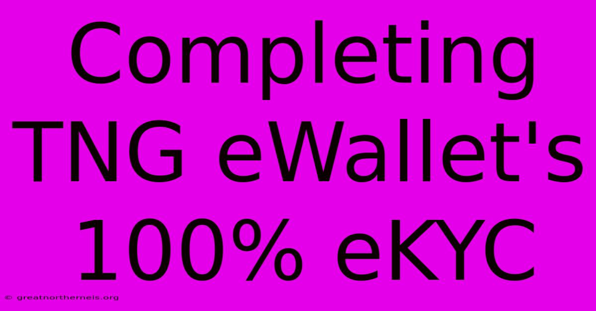 Completing TNG EWallet's 100% EKYC