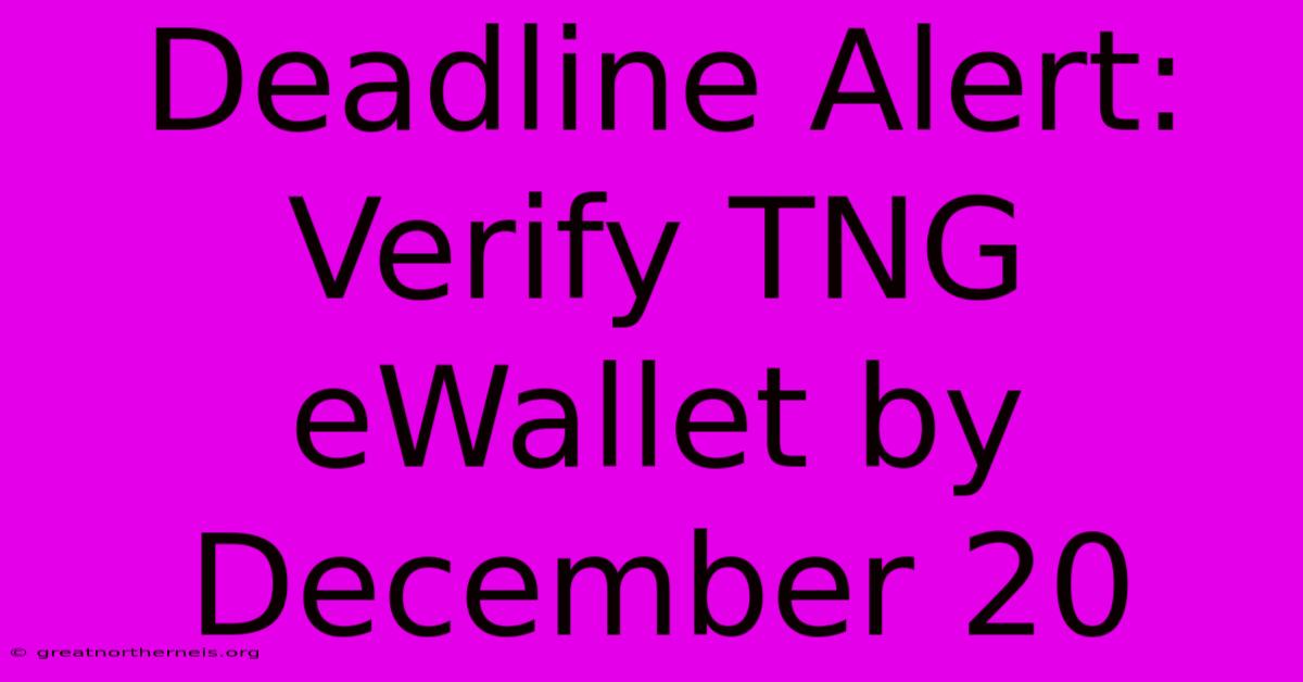 Deadline Alert: Verify TNG EWallet By December 20