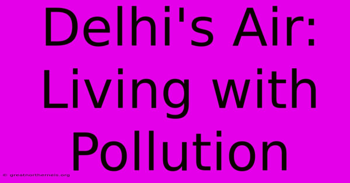 Delhi's Air: Living With Pollution