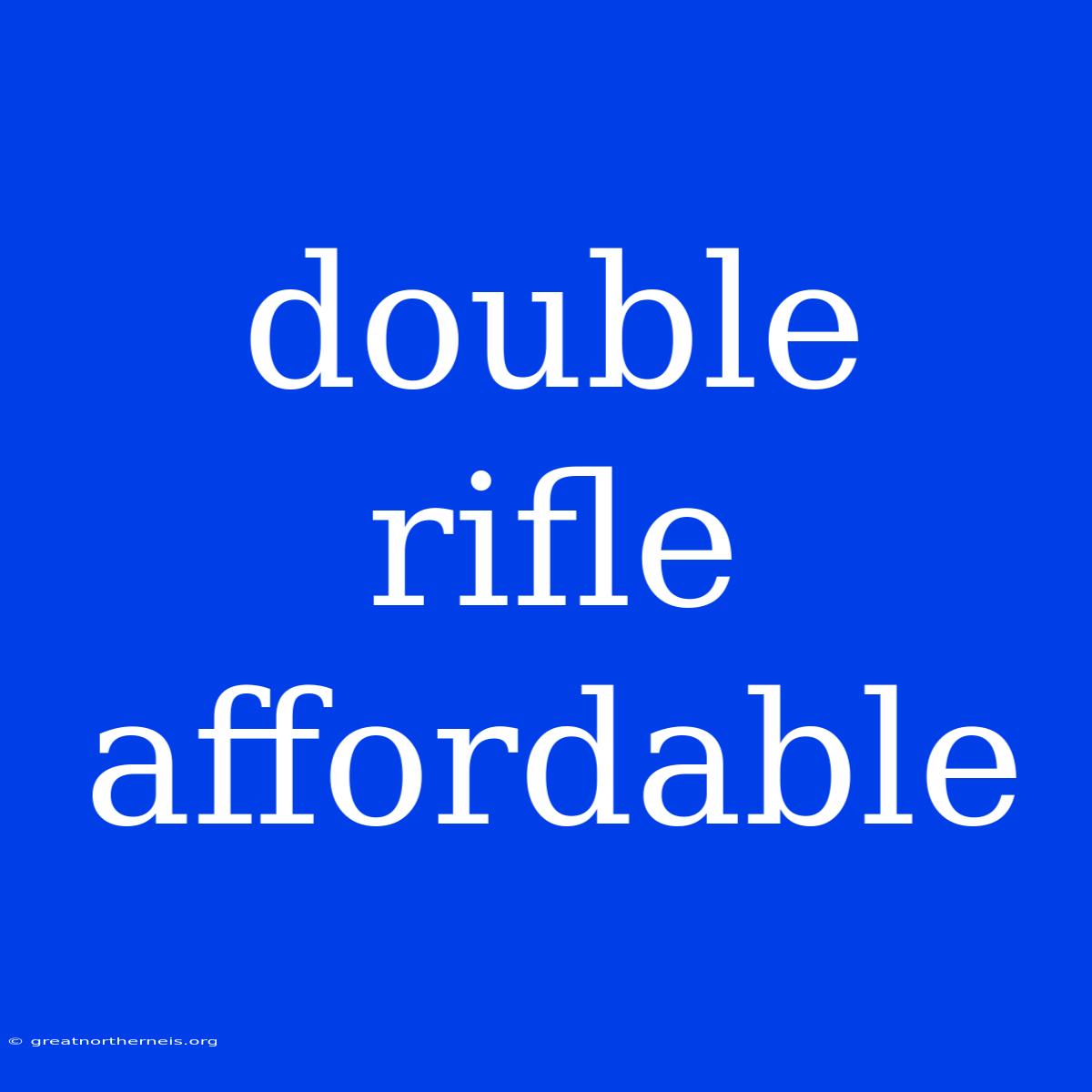 Double Rifle Affordable