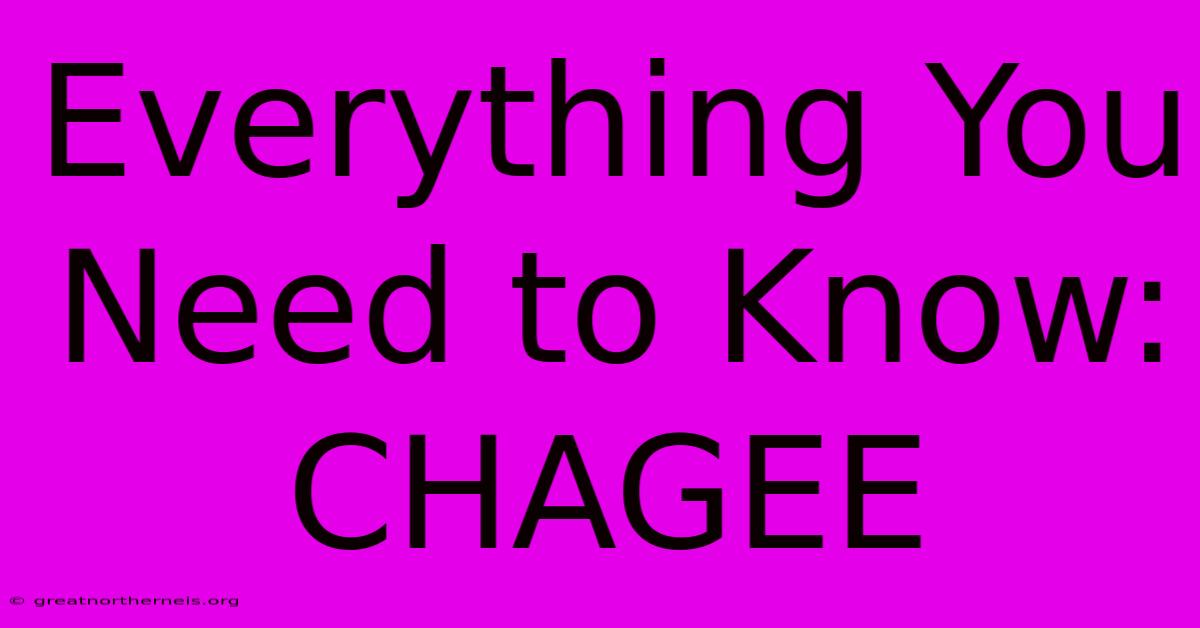 Everything You Need To Know: CHAGEE