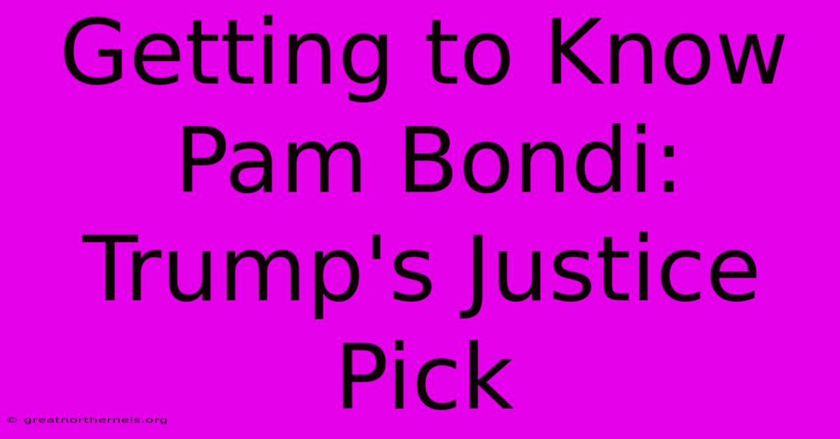 Getting To Know Pam Bondi: Trump's Justice Pick