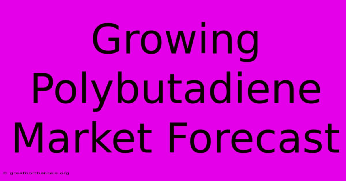 Growing Polybutadiene Market Forecast