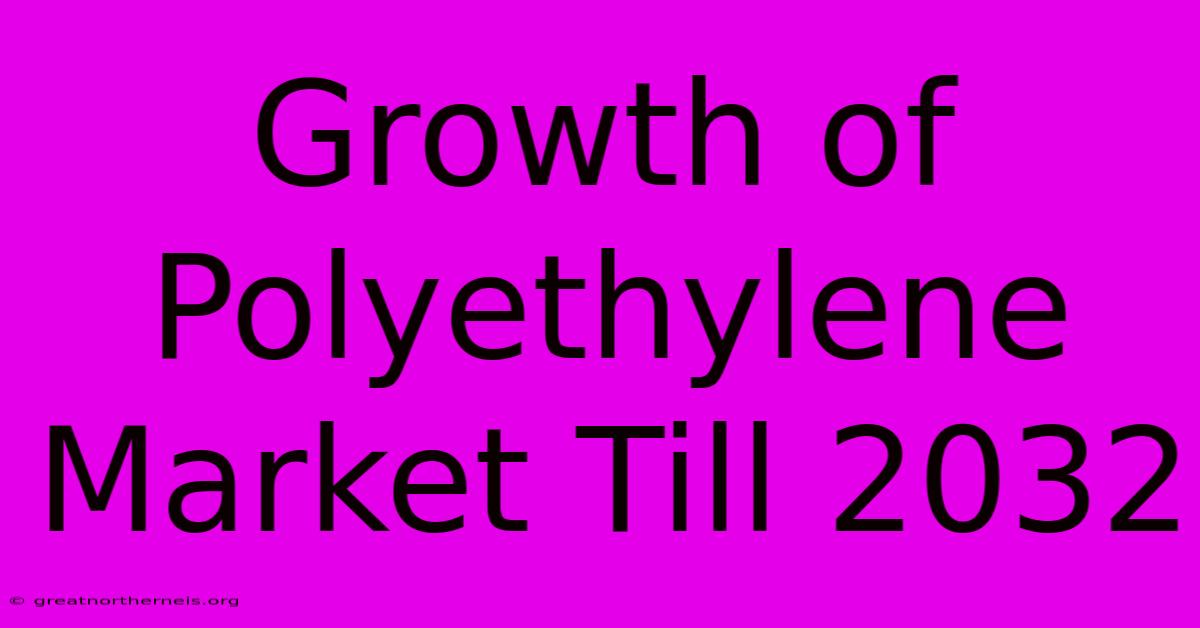 Growth Of Polyethylene Market Till 2032