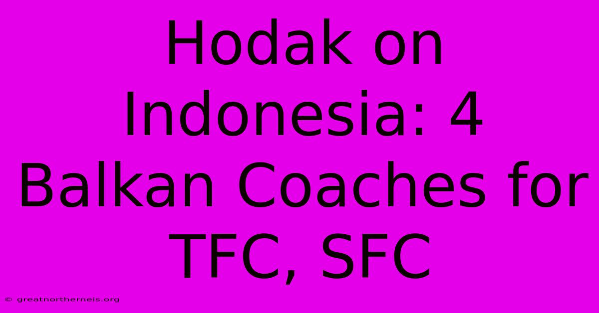 Hodak On Indonesia: 4 Balkan Coaches For TFC, SFC