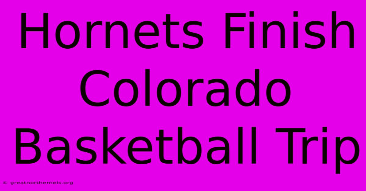 Hornets Finish Colorado Basketball Trip