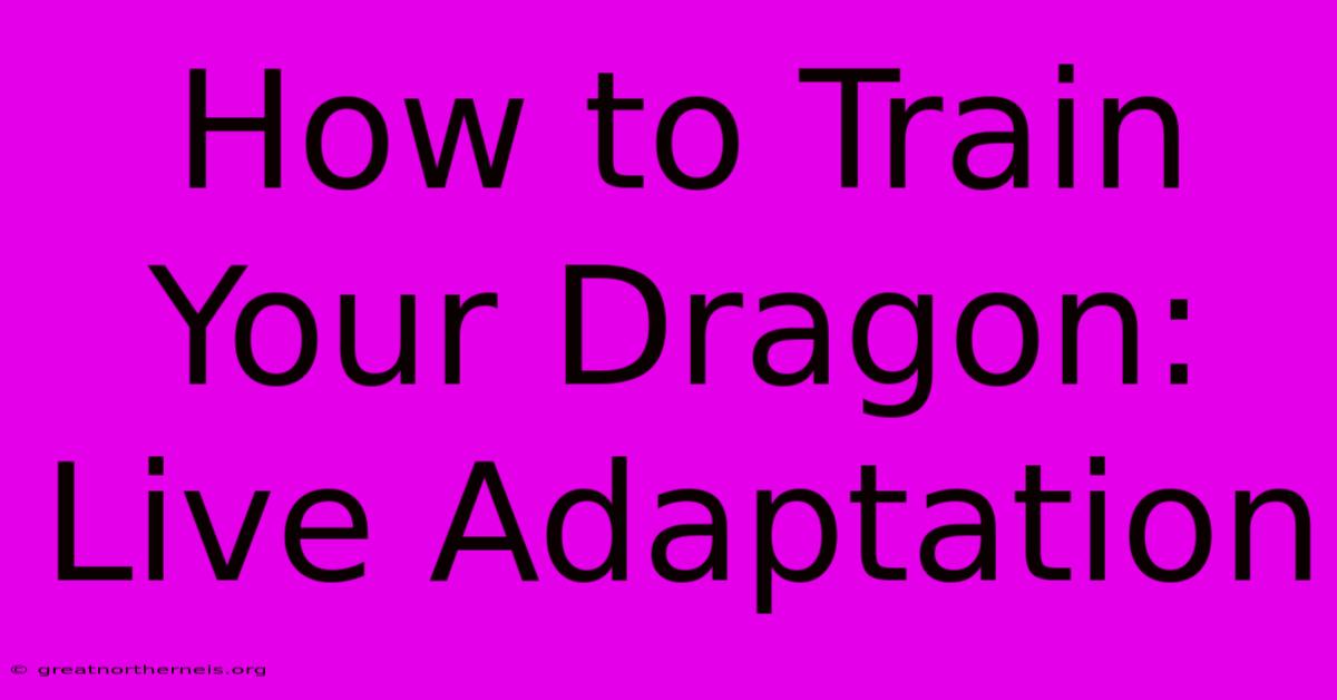 How To Train Your Dragon: Live Adaptation