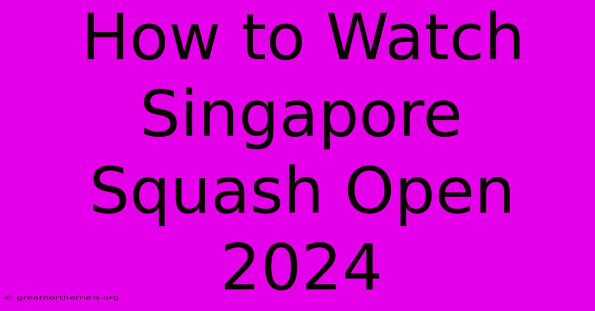 How To Watch Singapore Squash Open 2024