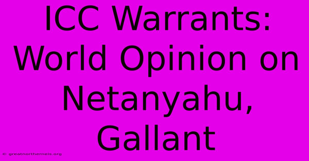 ICC Warrants: World Opinion On Netanyahu, Gallant