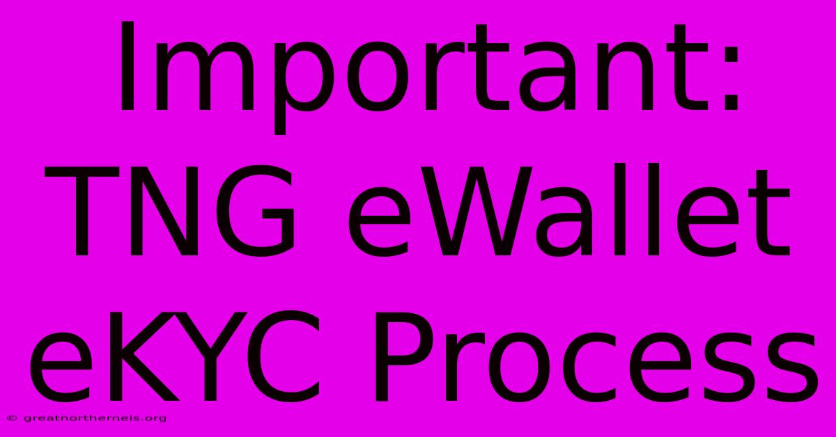 Important: TNG EWallet EKYC Process