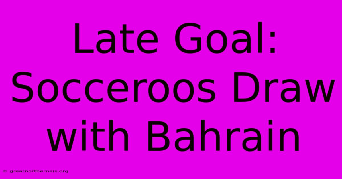 Late Goal: Socceroos Draw With Bahrain