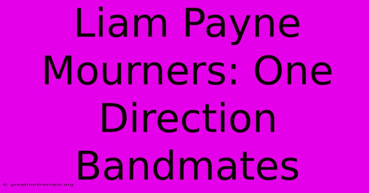 Liam Payne Mourners: One Direction Bandmates