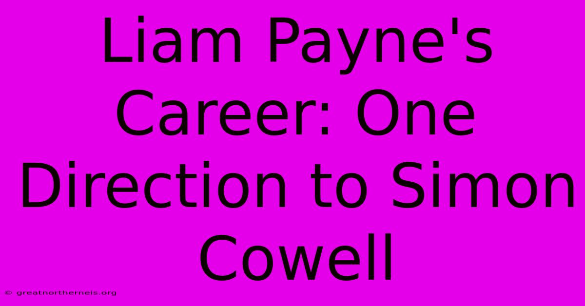 Liam Payne's Career: One Direction To Simon Cowell