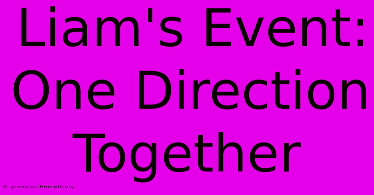 Liam's Event: One Direction Together