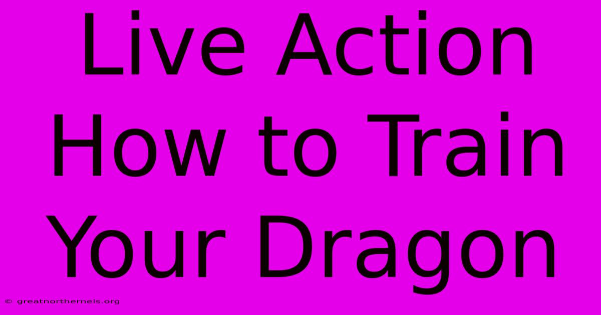 Live Action How To Train Your Dragon