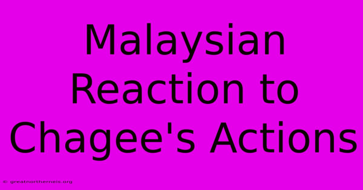 Malaysian Reaction To Chagee's Actions