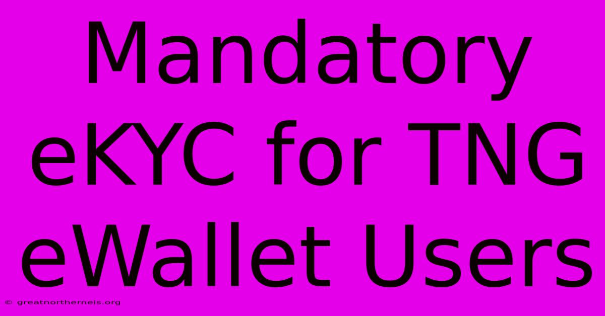 Mandatory EKYC For TNG EWallet Users