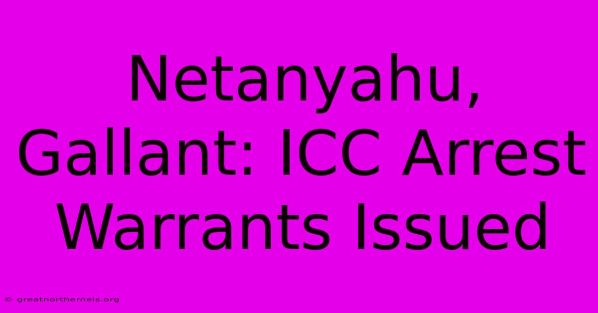 Netanyahu, Gallant: ICC Arrest Warrants Issued