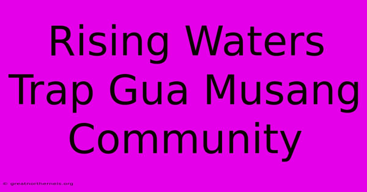 Rising Waters Trap Gua Musang Community