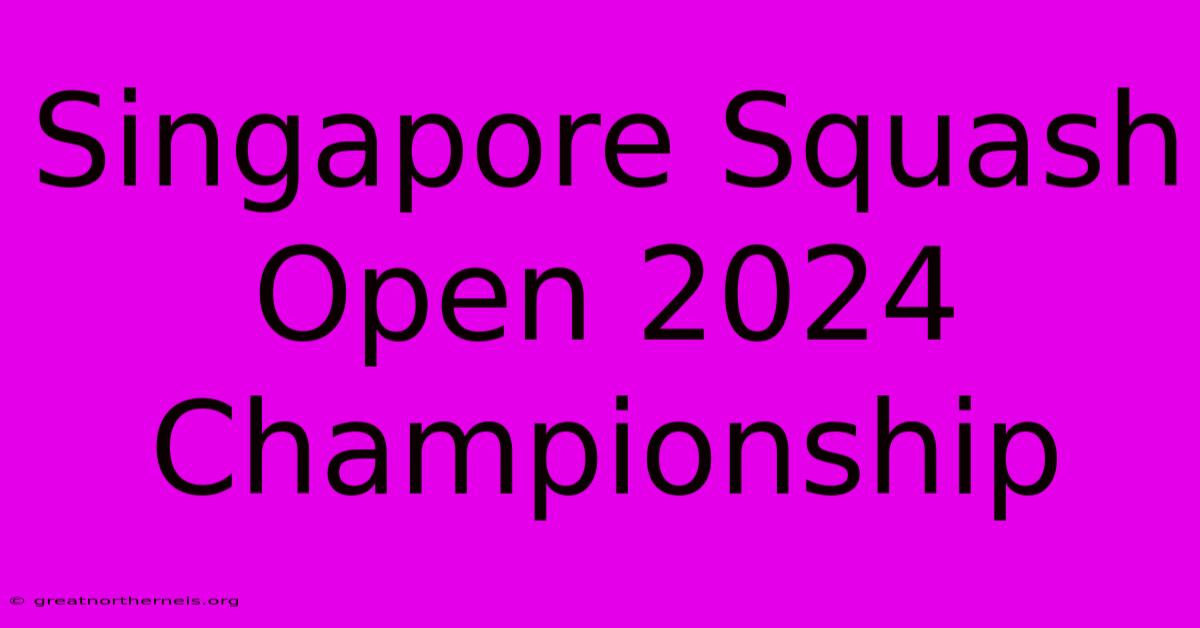 Singapore Squash Open 2024 Championship