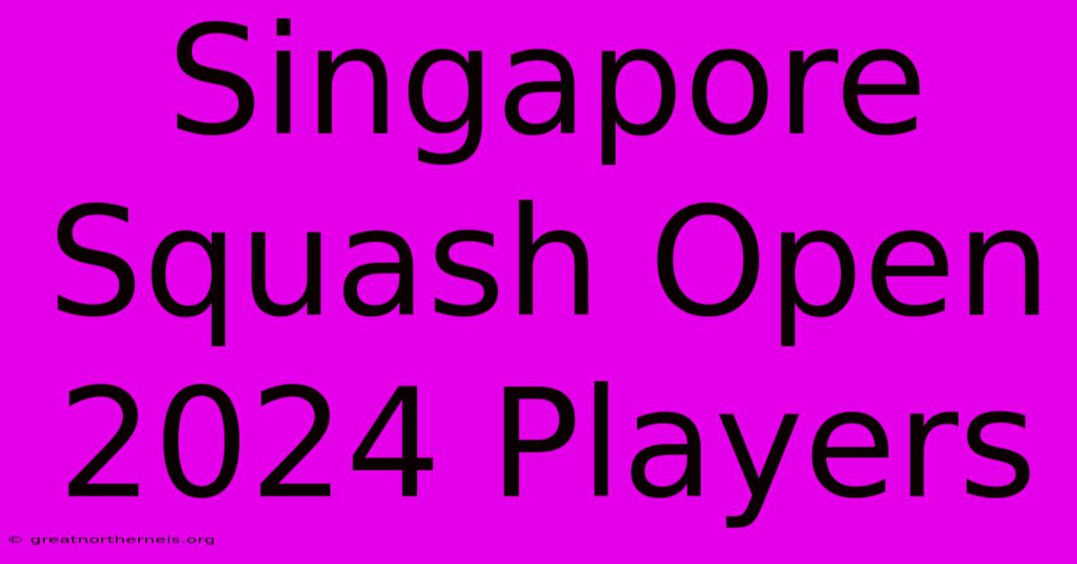 Singapore Squash Open 2024 Players