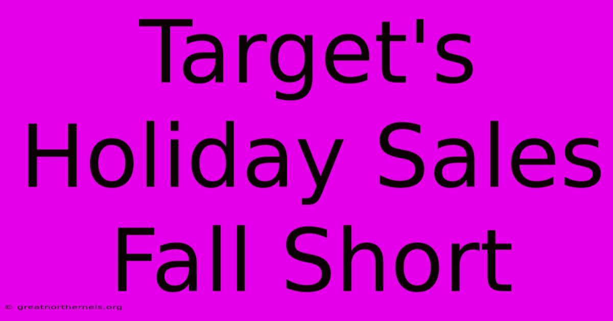 Target's Holiday Sales Fall Short