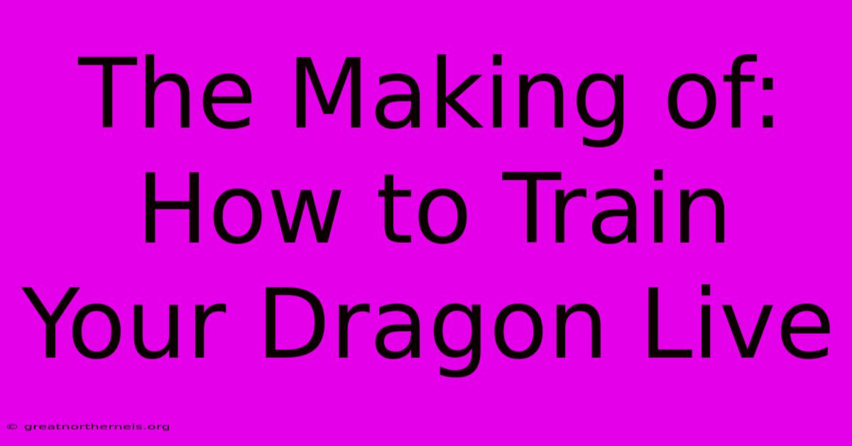 The Making Of: How To Train Your Dragon Live