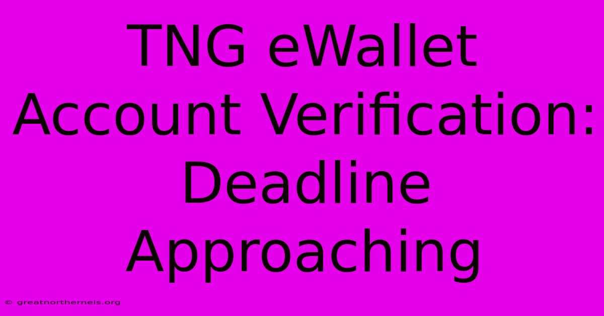 TNG EWallet Account Verification: Deadline Approaching