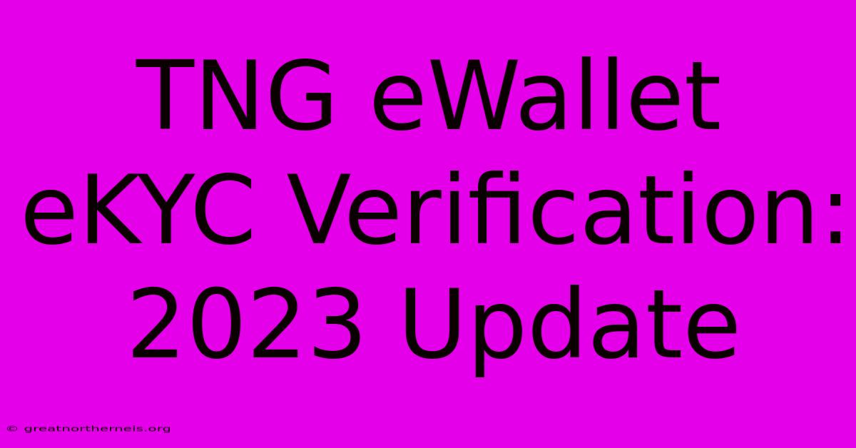 TNG EWallet EKYC Verification: 2023 Update