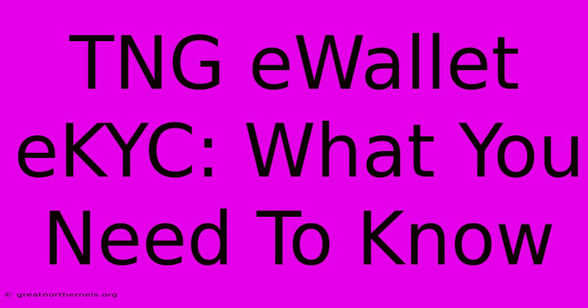 TNG EWallet EKYC: What You Need To Know