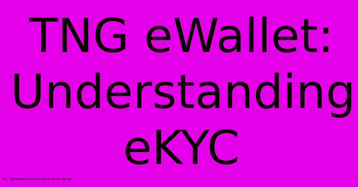 TNG EWallet:  Understanding EKYC