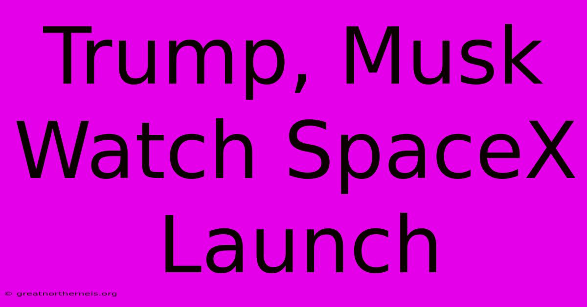 Trump, Musk Watch SpaceX Launch