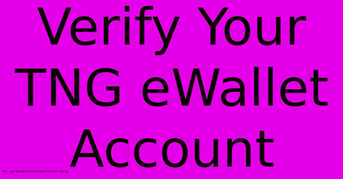 Verify Your TNG EWallet Account