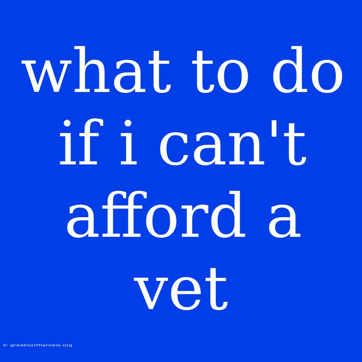 What To Do If I Can't Afford A Vet