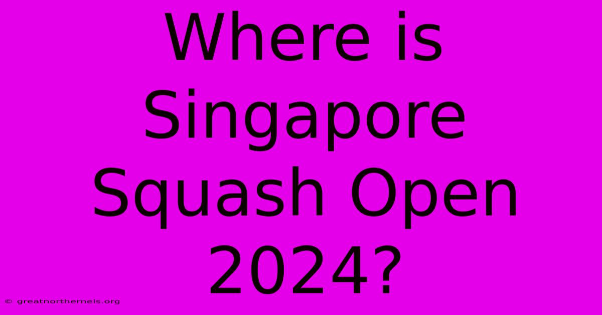 Where Is Singapore Squash Open 2024?